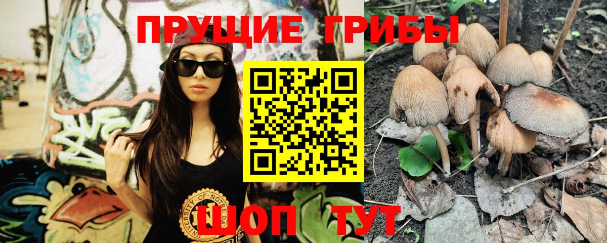 Псилоцибиновые грибы GOLDEN TEACHER  Вход с VPN  дарнет шоп  Сосновоборск 